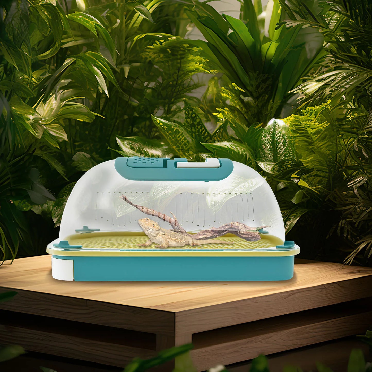 Reptile Feeding Box Portable Transparent Snail Breeding Box with Drawer Tray and Handle Reptile Transport Container for Lizard