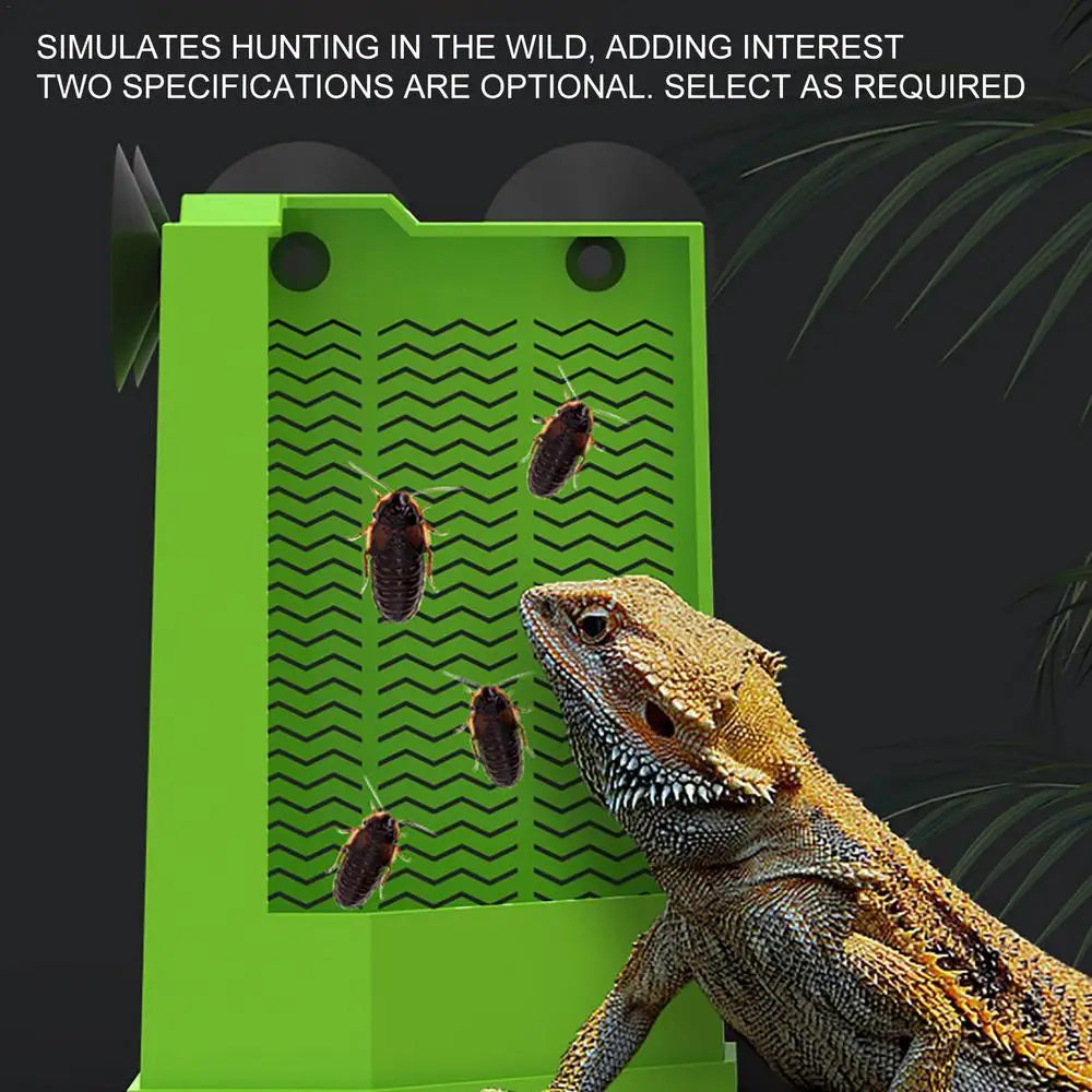 Reptile Food Dish Reptile Feeding Bowls Reptile Dish Feeder Suction Cup Gecko Food Dish Reptile Bowl Terrarium Feeding Dish Anti