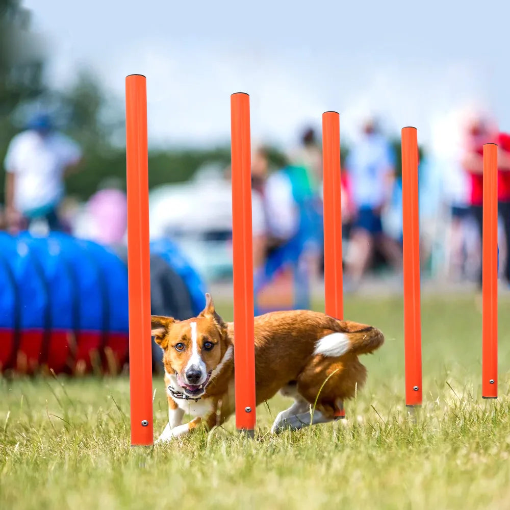 Dog Agility Equipment Portable Pet Training Equipments Dogs Jumping Training Tool Outdoor Dogs Running Stake Sports Stakes Pole