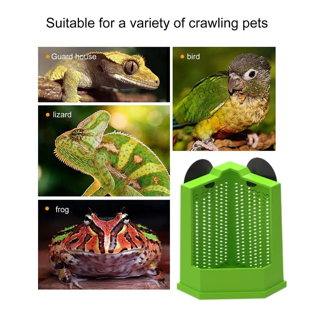 Reptile Food Dish Reptile Feeding Bowls Reptile Dish Feeder Suction Cup Gecko Food Dish Reptile Bowl Terrarium Feeding Dish Anti