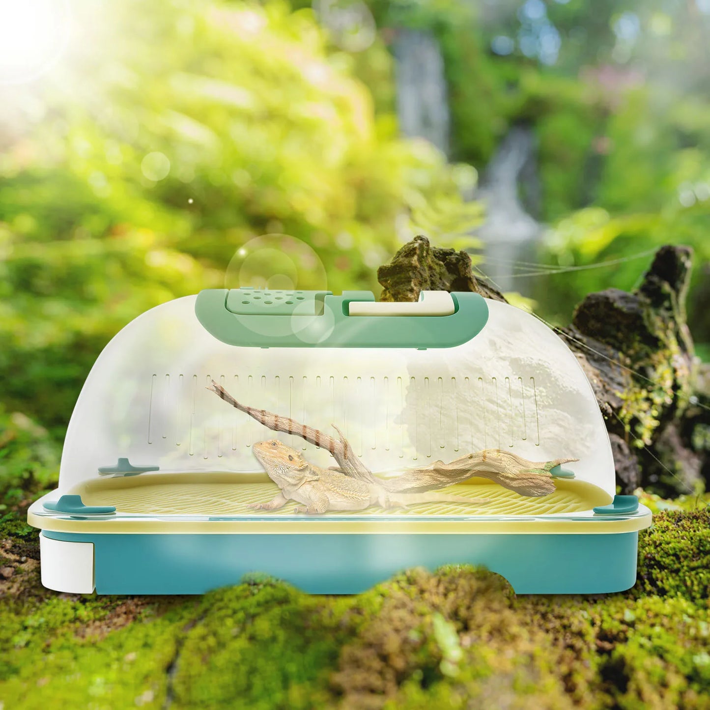 Reptile Feeding Box Portable Transparent Snail Breeding Box with Drawer Tray and Handle Reptile Transport Container for Lizard
