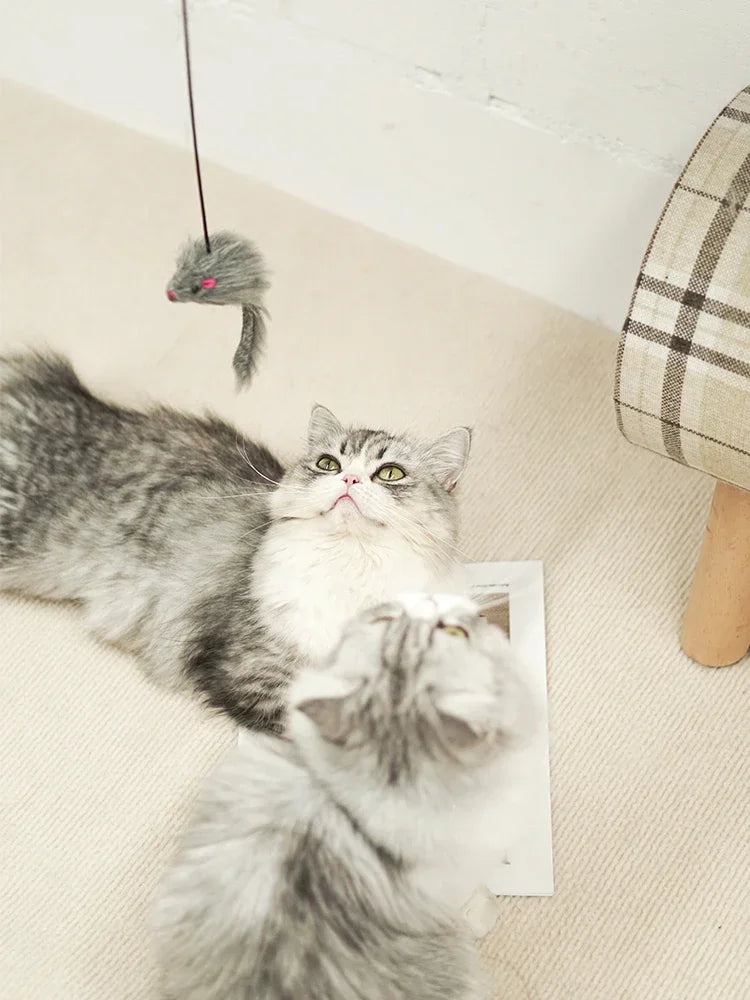 Simulation Mouse Cats Toy Funny Self-hey Hanging Door Retractable Cats Stick Scratch Rope Mouse Cat Interactive Toy Cat Supplies