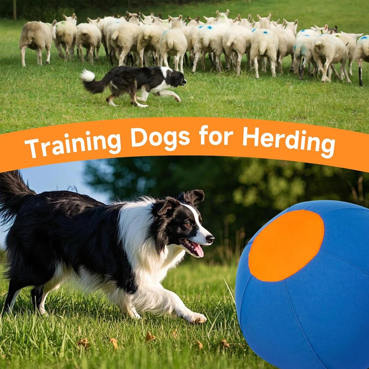 Dog Giant Toy Ball Large Pet Outdoor Training Supplies Children's Interactive Game Toys Interest Play Balls Dog Like Colors Ball