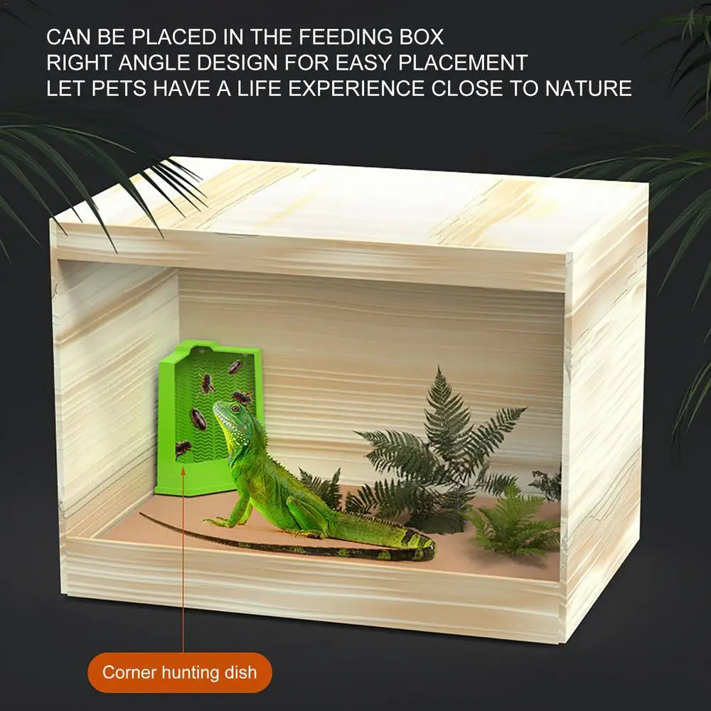 Reptile Food Dish Reptile Feeding Bowls Reptile Dish Feeder Suction Cup Gecko Food Dish Reptile Bowl Terrarium Feeding Dish Anti
