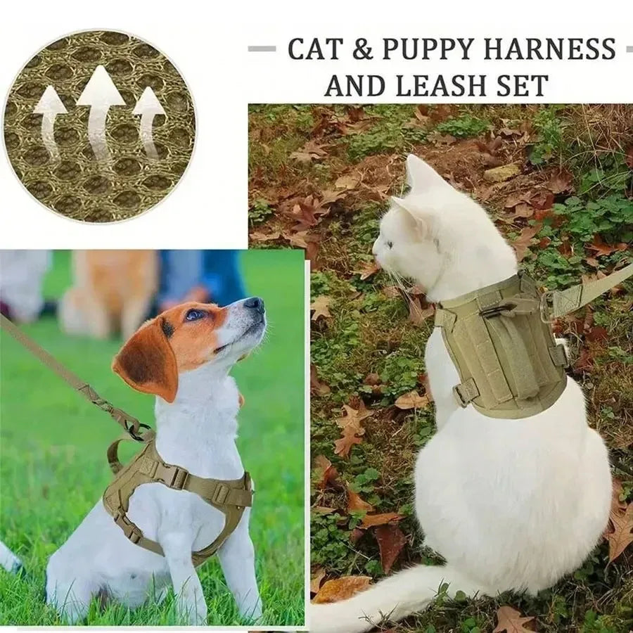 Cats Accessories Pets Pet Products Collar Goods Kitten Kittens Breast-band Collar Harness Leash Things Supplies For Cat Home