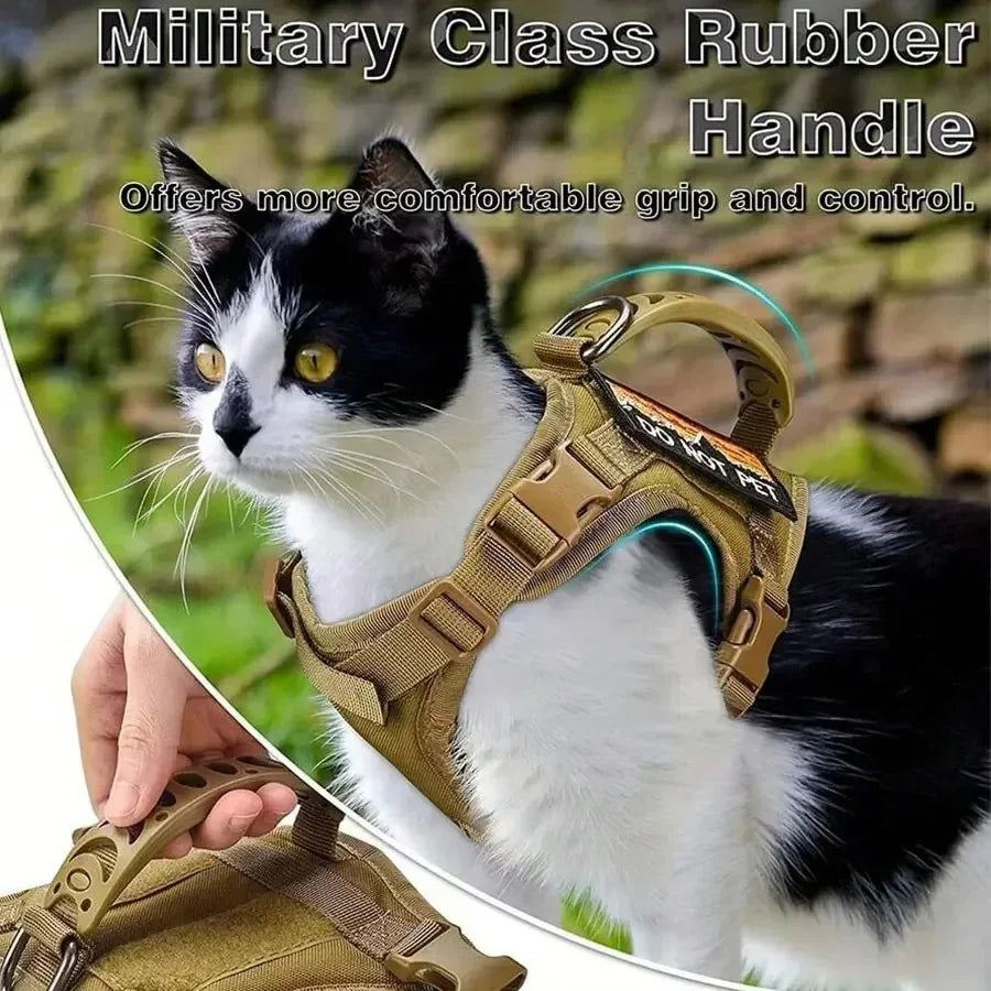 Cats Accessories Pets Pet Products Collar Goods Kitten Kittens Breast-band Collar Harness Leash Things Supplies For Cat Home