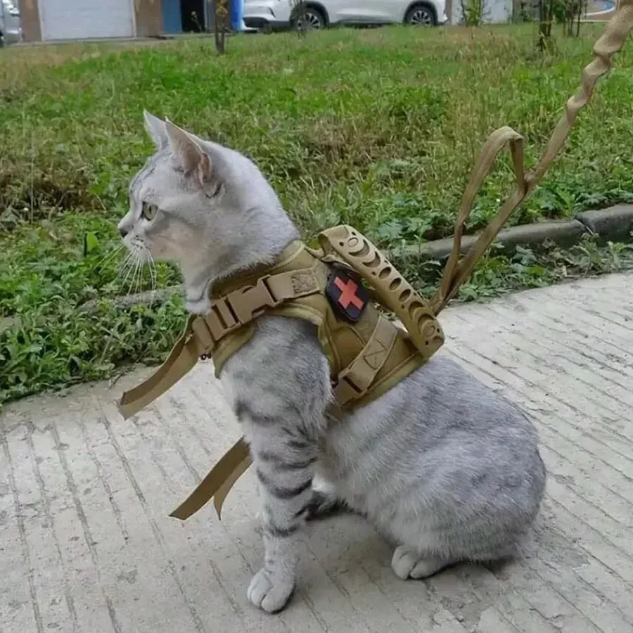 Cats Accessories Pets Pet Products Collar Goods Kitten Kittens Breast-band Collar Harness Leash Things Supplies For Cat Home