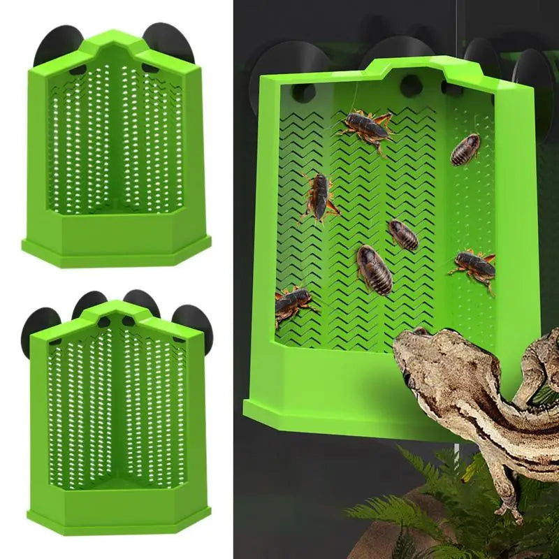 Reptile Food Dish Reptile Feeding Bowls Reptile Dish Feeder Suction Cup Gecko Food Dish Reptile Bowl Terrarium Feeding Dish Anti