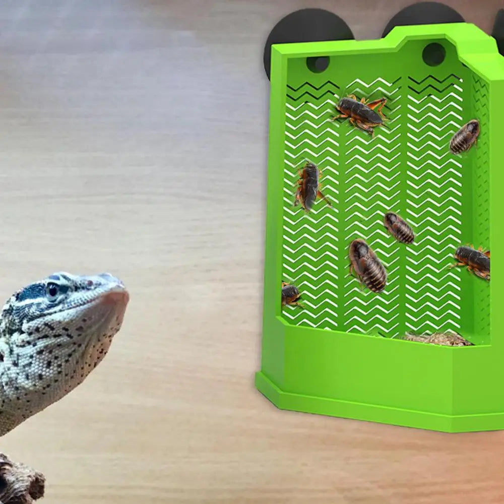 Reptile Food Dish Reptile Feeding Bowls Reptile Dish Feeder Suction Cup Gecko Food Dish Reptile Bowl Terrarium Feeding Dish Anti