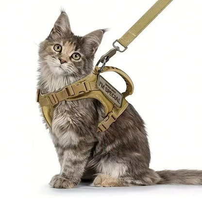 Cats Accessories Pets Pet Products Collar Goods Kitten Kittens Breast-band Collar Harness Leash Things Supplies For Cat Home