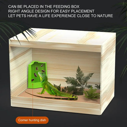 Reptile Food Dish Reptile Feeding Bowls Reptile Dish Feeder Suction Cup Gecko Food Dish Reptile Bowl Terrarium Feeding Dish Anti
