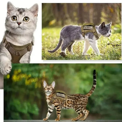Cats Accessories Pets Pet Products Collar Goods Kitten Kittens Breast-band Collar Harness Leash Things Supplies For Cat Home